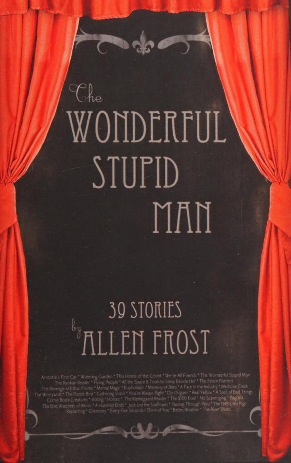 The Wonderful Stupid Man Fiction Allen Frost
