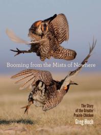 Booming From The Mists Of Nowhere The Story Of The Greater Prairiechicken Greg Hoch