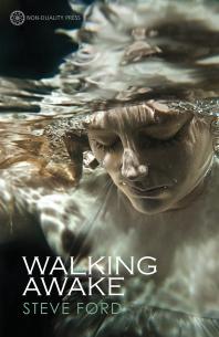 Walking Awake 1st Edition Steve Ford