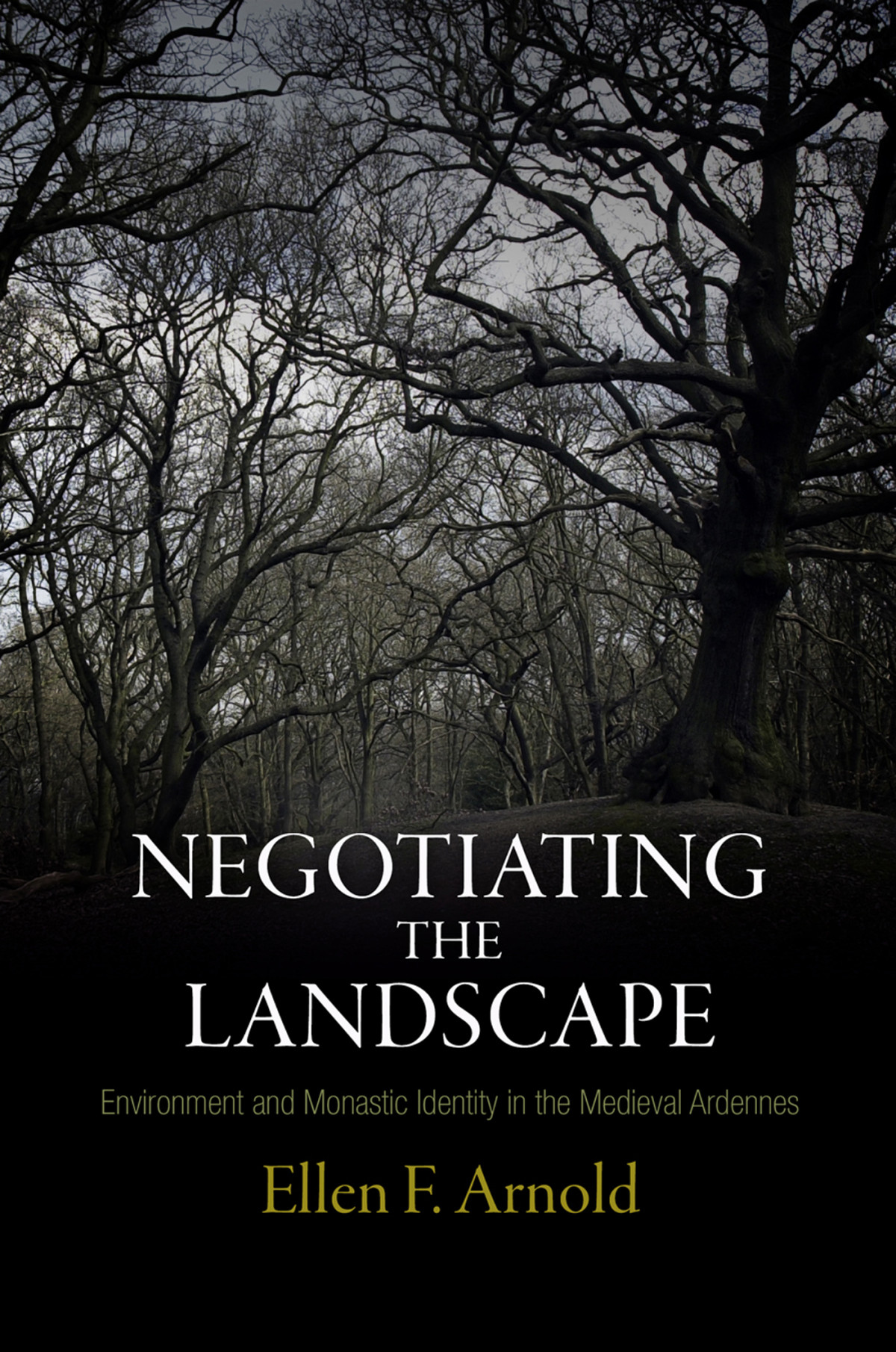 Negotiating The Landscape Arnold Ellen F