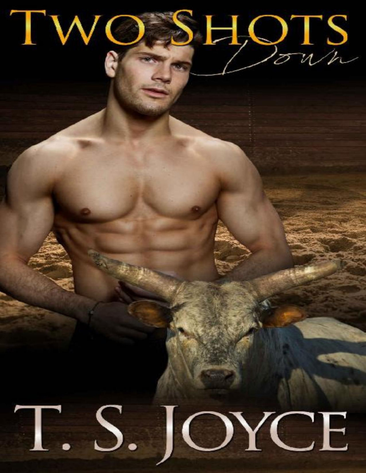 Two Shots Down Battle Of The Bulls Book 1 T S Joyce