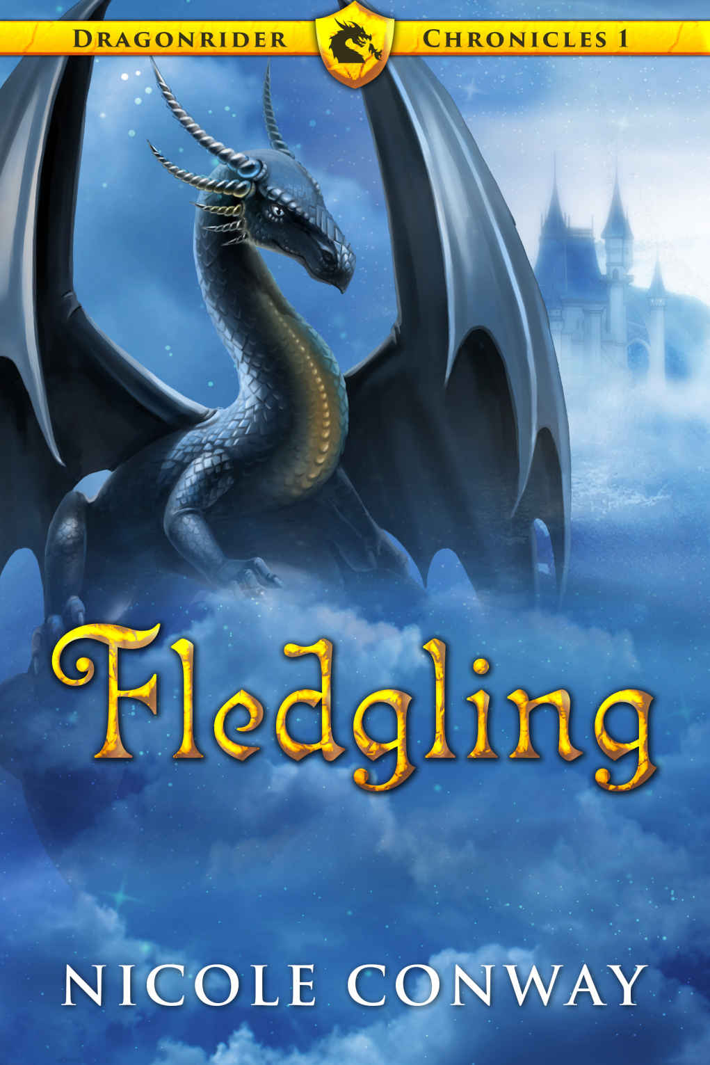 Fledgling Dargonrider Chronicles Book 1 Nicole Conway