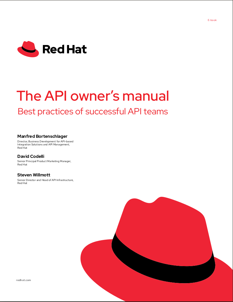 The Api Owners Manual Best Practices Of Successful Api Teams Manfred Bortenschlager