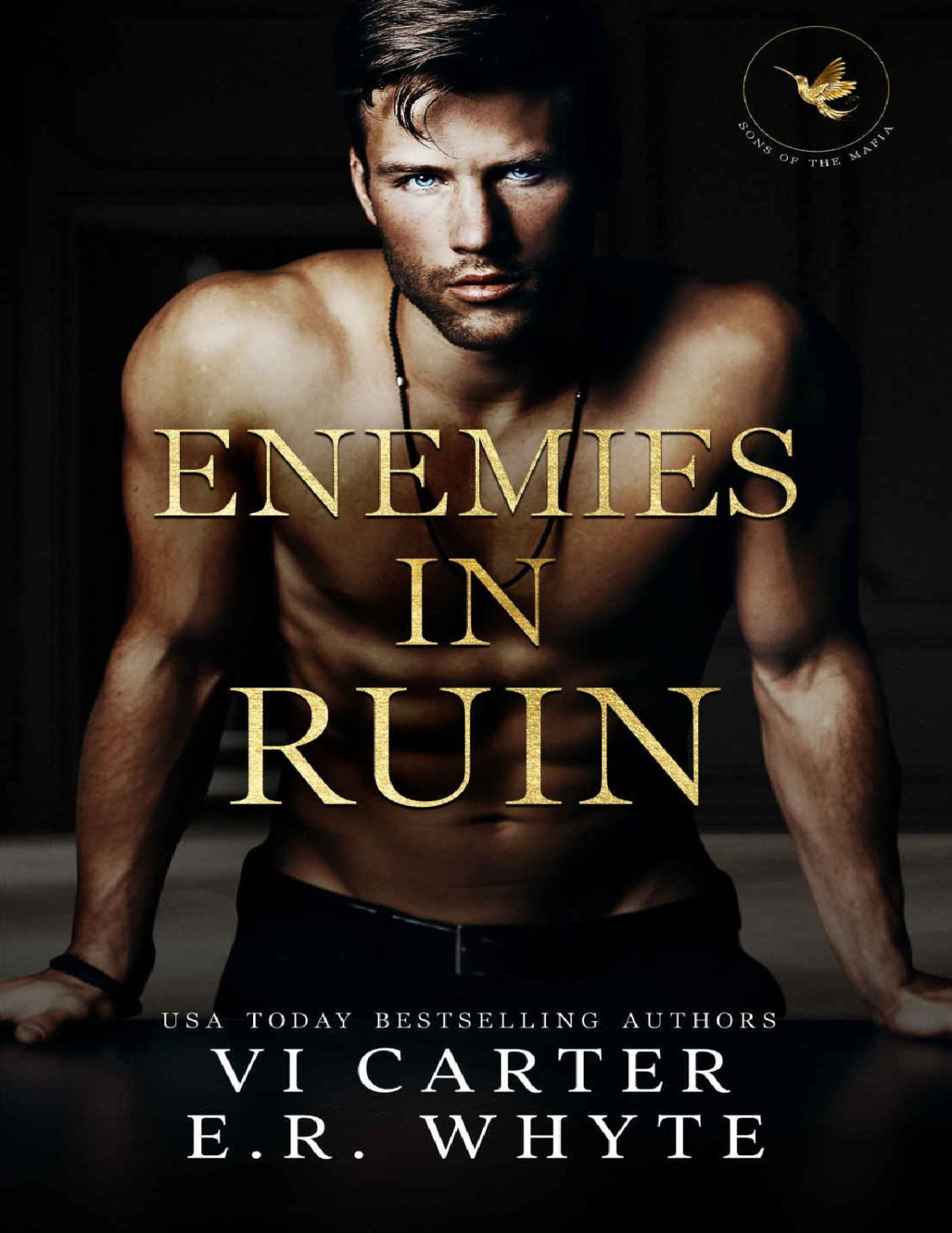 Enemies In Ruin A Dark Mafia Romance Sons Of The Mafia Book 2 Vi Carter Er Whyte