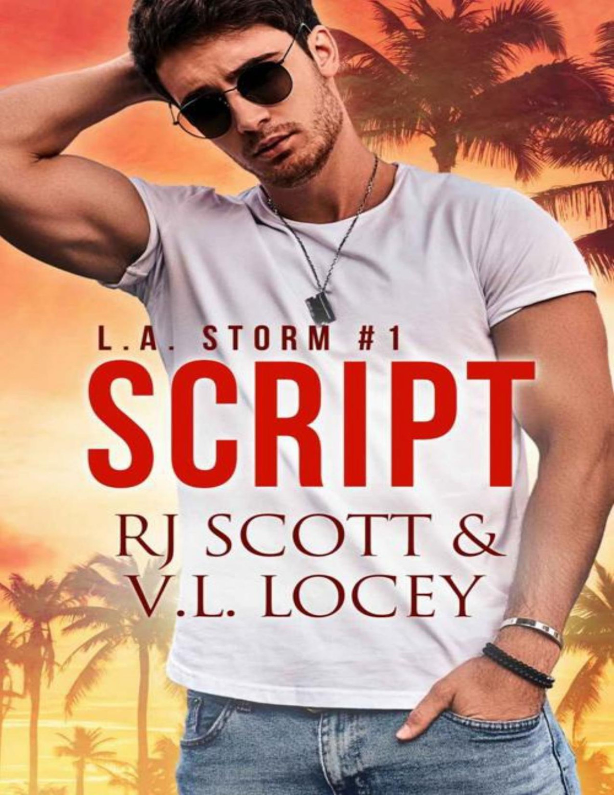 Script A Gay Hockey Romance La Storm Book 1 Rj Scott Vl Locey