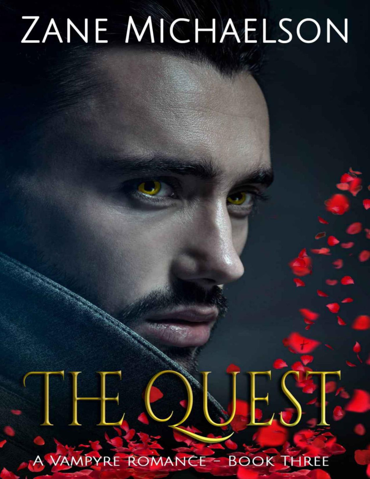 The Quest Zane Michaelson
