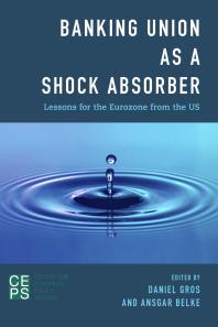 Banking Union As A Shock Absorber Lessons For The Eurozone From The Us 1st Edition Daniel Gros Ansgar Belke