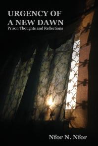 Urgency Of A New Dawn Prison Thoughts And Reflections 1st Edition N Nfor