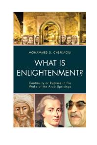 What Is Enlightenment Continuity Or Rupture In The Wake Of The Arab Uprisings Mohammed D Cherkaoui