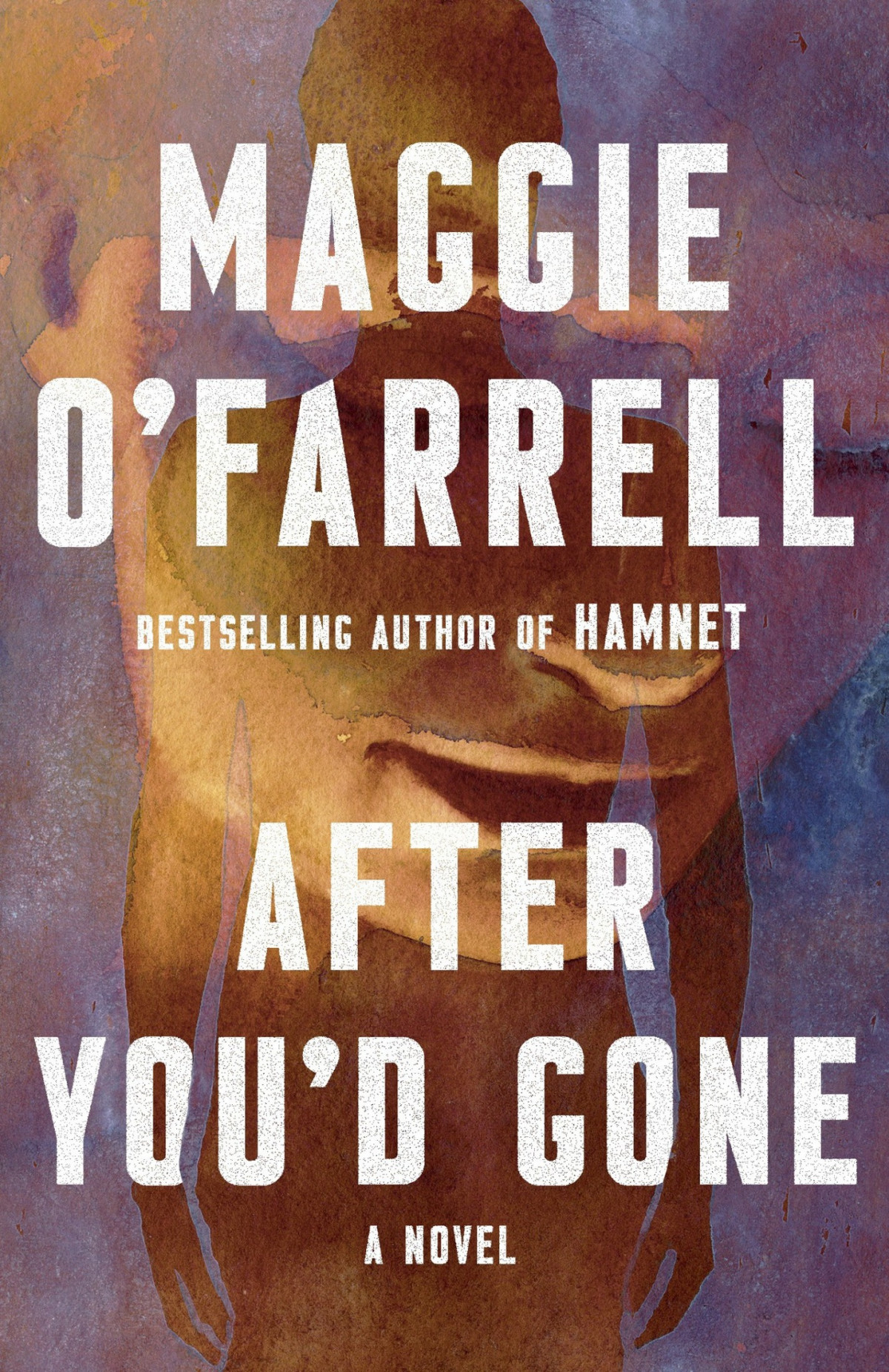 After Youd Gone A Novel Maggie Ofarrell