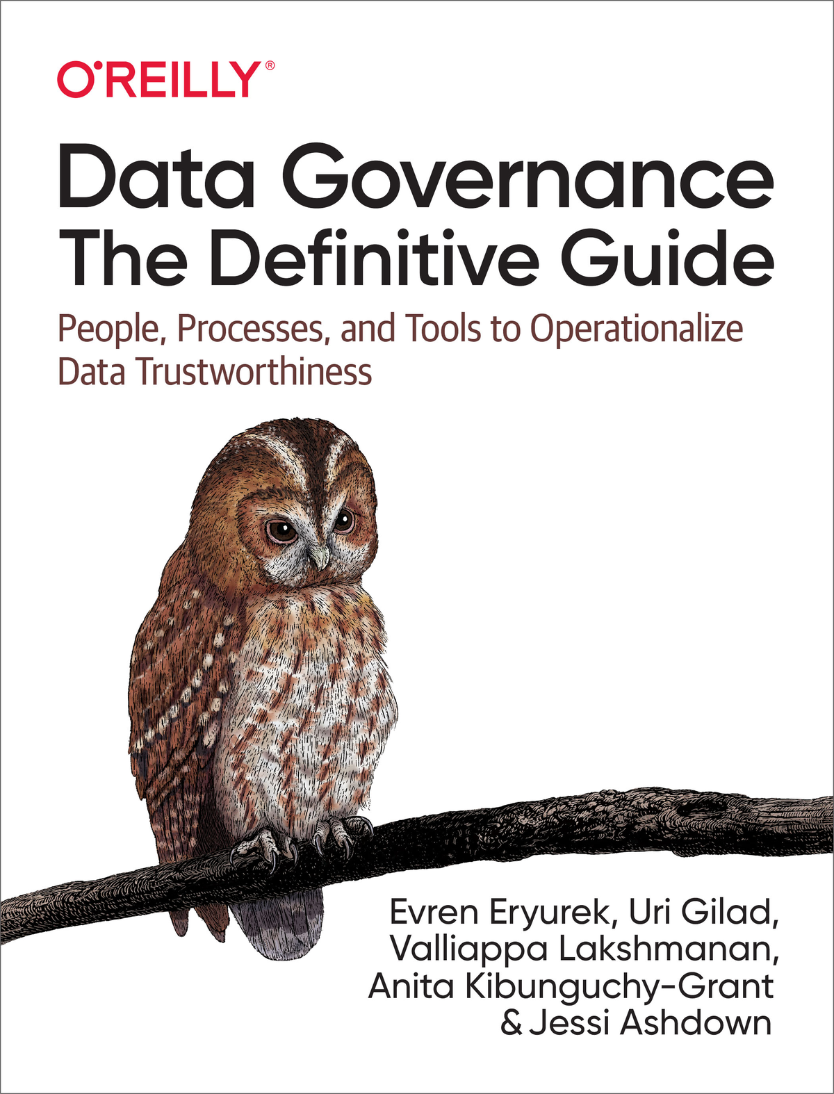 Data Governance The Definitive Guide For Stella Costa Evren Eryurek