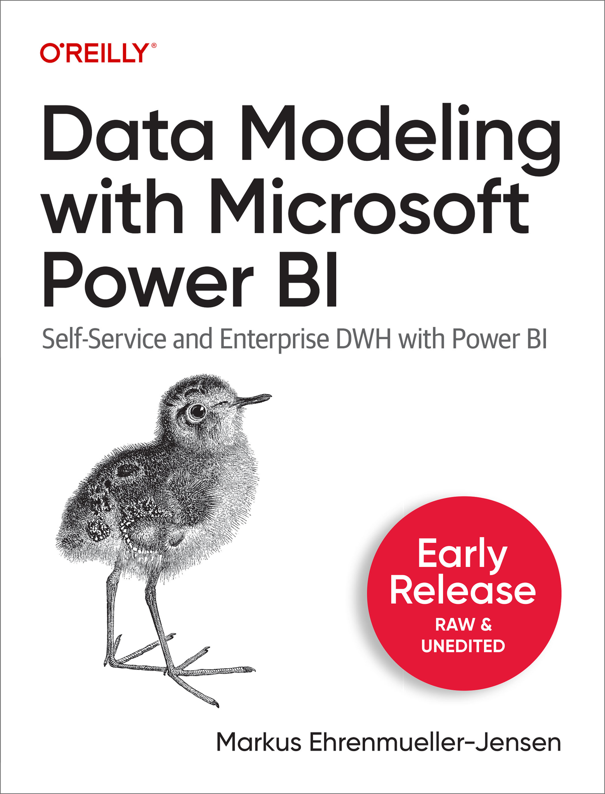 Data Modeling With Microsoft Power Bi Markus Ehrenmuellerjensen