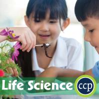 Handson Steam Life Science Gr 15 1st Edition George Graybill