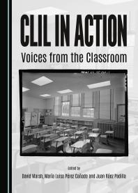 Clil In Action Voices From The Classroom 1st Edition David Marsh Mara Luisa Prez Caado Juan Rez Padilla