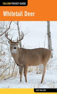 Whitetail Deer Jack Ballard