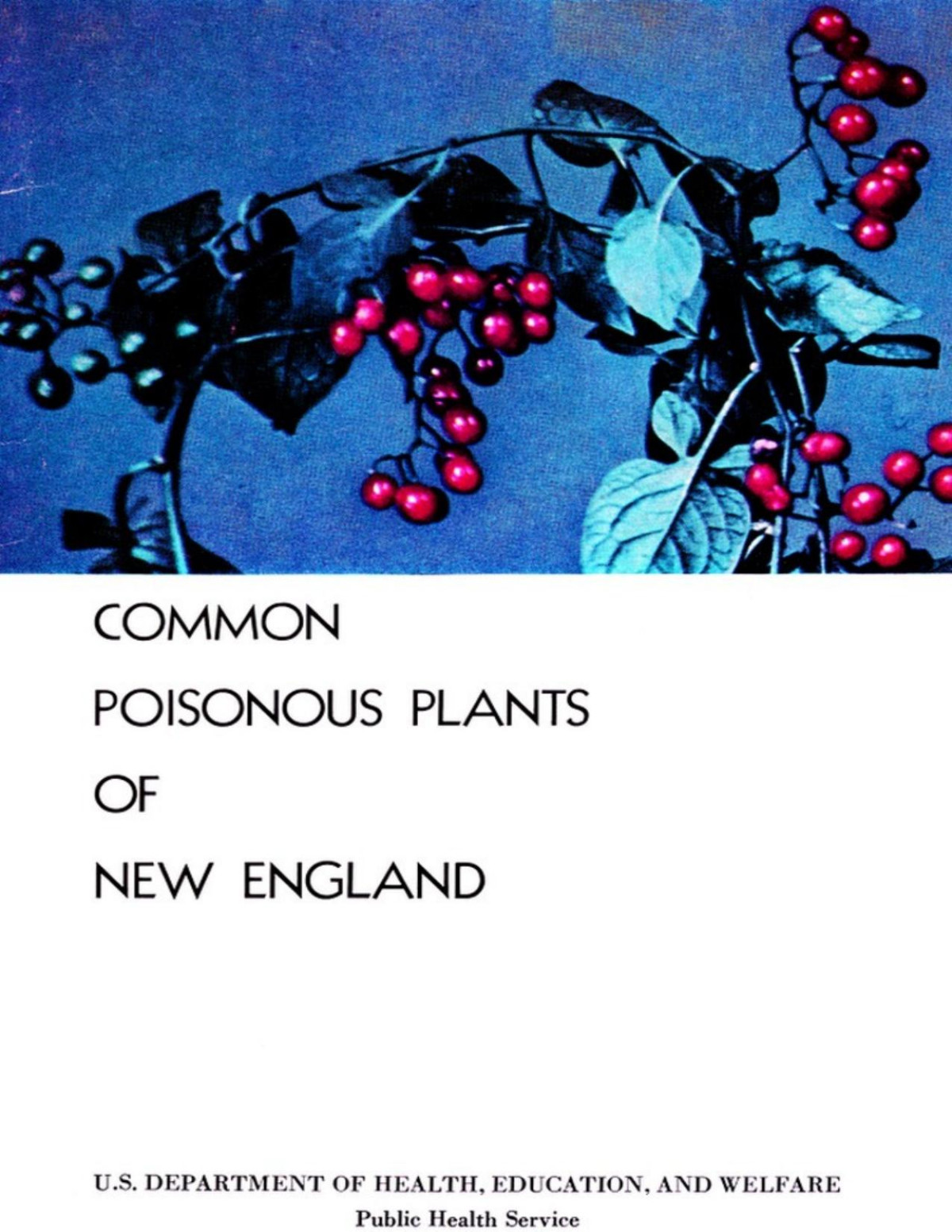 Common Poisonous Plants Of New England Heber W Youngken Joseph S Karas