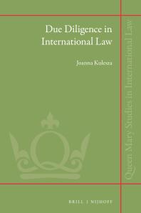 Due Diligence In International Law 1st Edition Joanna Kulesza