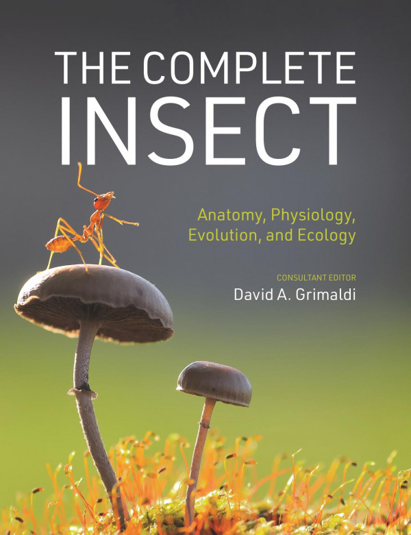 The Complete Insect Anatomy Physiology Evolution And Ecology David A Grimaldi
