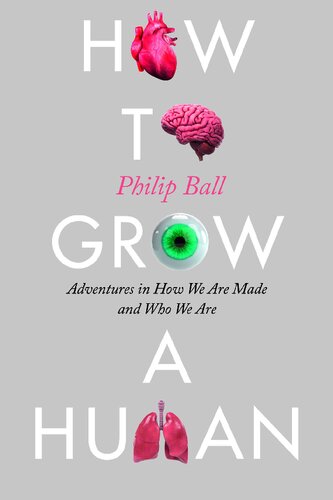 How To Grow A Human Adventures In How We Are Made And Who We Are 1st Edition Philip Ball