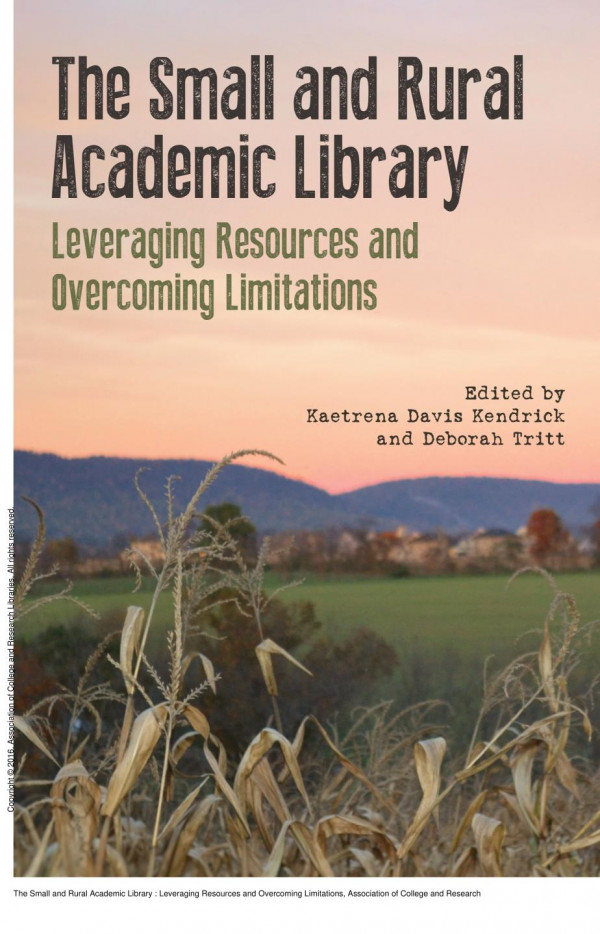 The Small And Rural Academic Library Leveraging Resources And Overcoming Limitations 1st Edition Kaetrena Davis Kendrick Deborah Tritt