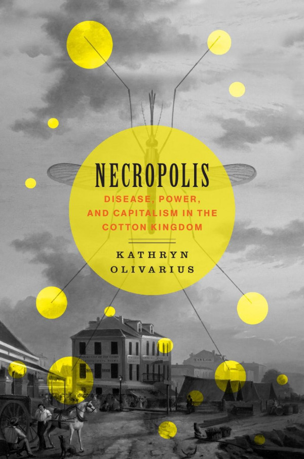 Necropolis Disease Power And Capitalism In The Cotton Kingdom Kathryn Olivarius