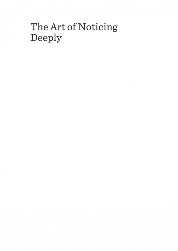 The Art Of Noticing Deeply Commentaries On Teaching Learning And Mindfulness 1st Edition Jan Buley David Buley Rupert Collister