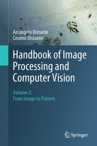 Handbook Of Image Processing And Computer Vision Volume 2 From Image To Pattern 1st Ed 2020 Arcangelo Distante