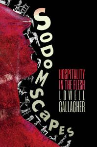 Sodomscapes Hospitality In The Flesh 1st Edition Lowell Gallagher
