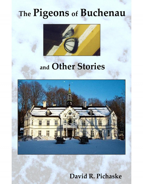 The Pigeons Of Buchenau And Other Stories 1st Edition David R Pichaske