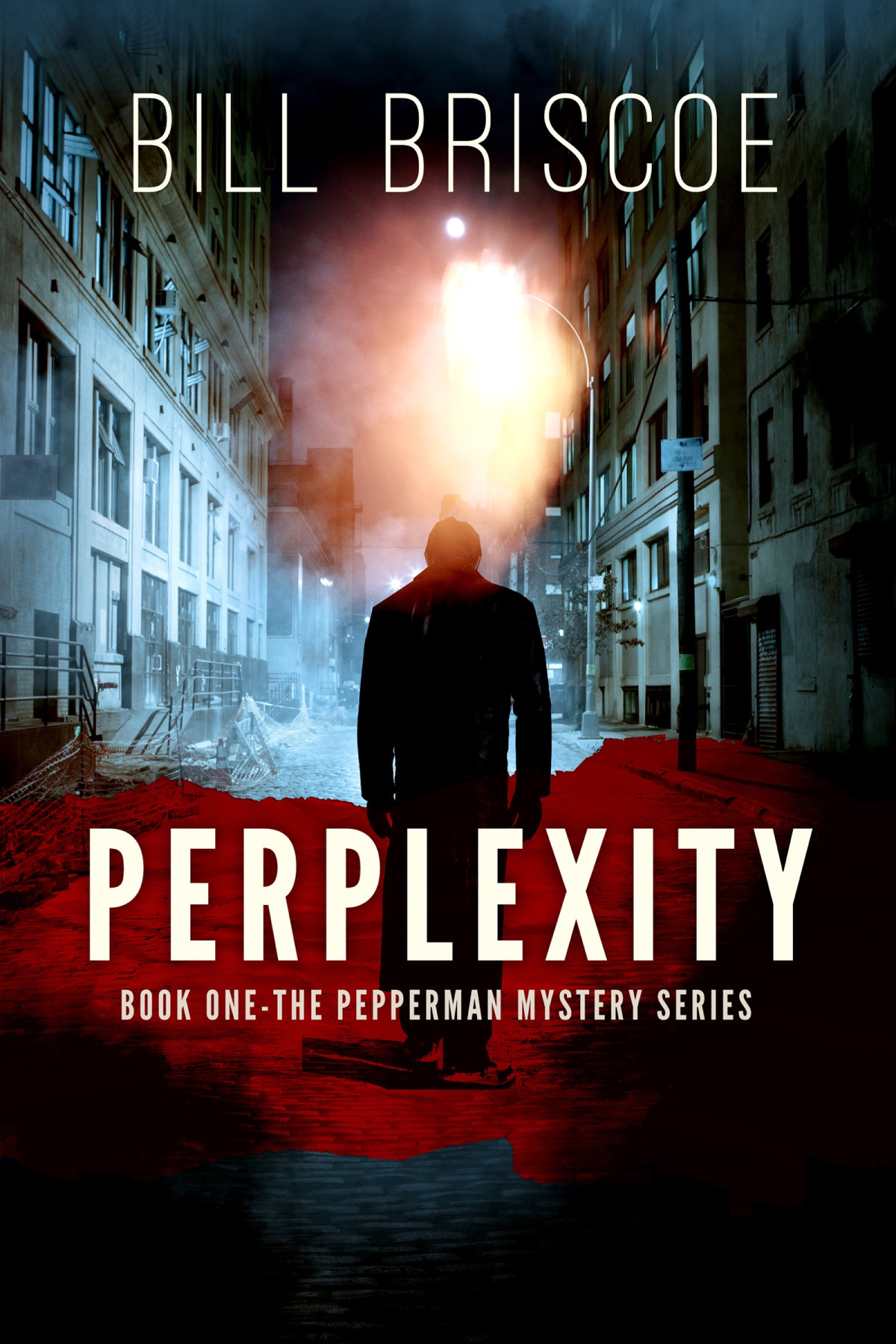 Perplexity Bill Briscoe