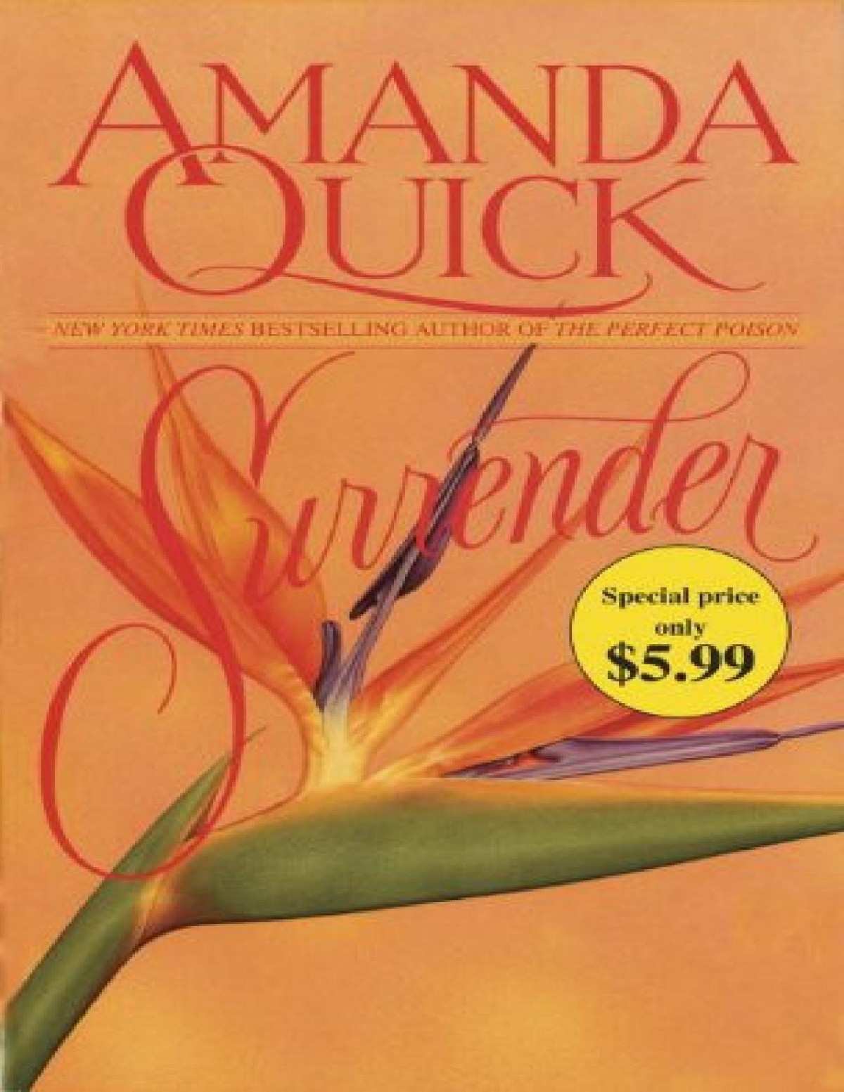 Surrender Amanda Quick