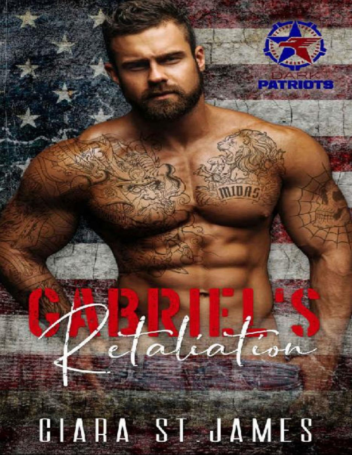 Gabriels Retaliation Dark Patriots Book 2 Ciara St James