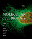 Molecular Cell Biology 8th Edition Harvey Lodish Arnold Berk