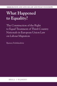 What Happened To Equality The Construction Of The Right To Equal Treatment Of Thirdcountry Nationals In European Union Law On Labour Migration 1st Edition Bjarney Fririksdttir