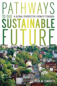 Pathways To Our Sustainable Future A Global Perspective From Pittsburgh 1st Edition Patricia M Demarco