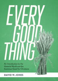 Every Good Thing An Introduction To The Material World And The Common Good For Christians 1st Edition David W Jones