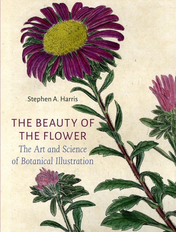 The Beauty Of The Flower The Art And Science Of Botanical Illustration Stephen A Harris