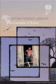 Fighting Forced Labour The Example Of Brazil 1st Edition Patrica Trindade Maranho Costa International Labour Organisation Ilo