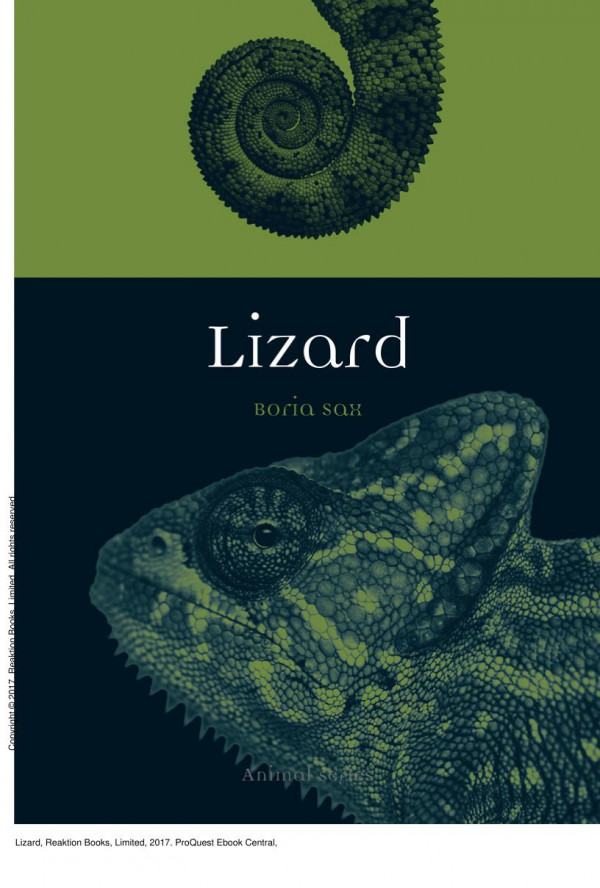 Lizard 1st Edition Boria Sax