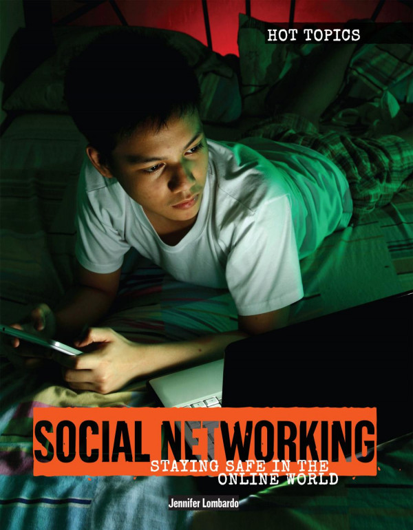 Social Networking Staying Safe In The Online World 1st Edition Jennifer Lombardo Carla Mooney