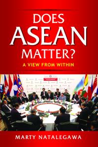 Does Asean Matter A View From Within 1st Edition Marty Natalegawa