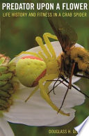 Predator Upon A Flower Life History And Fitness In A Crab Spider Douglass H Morse
