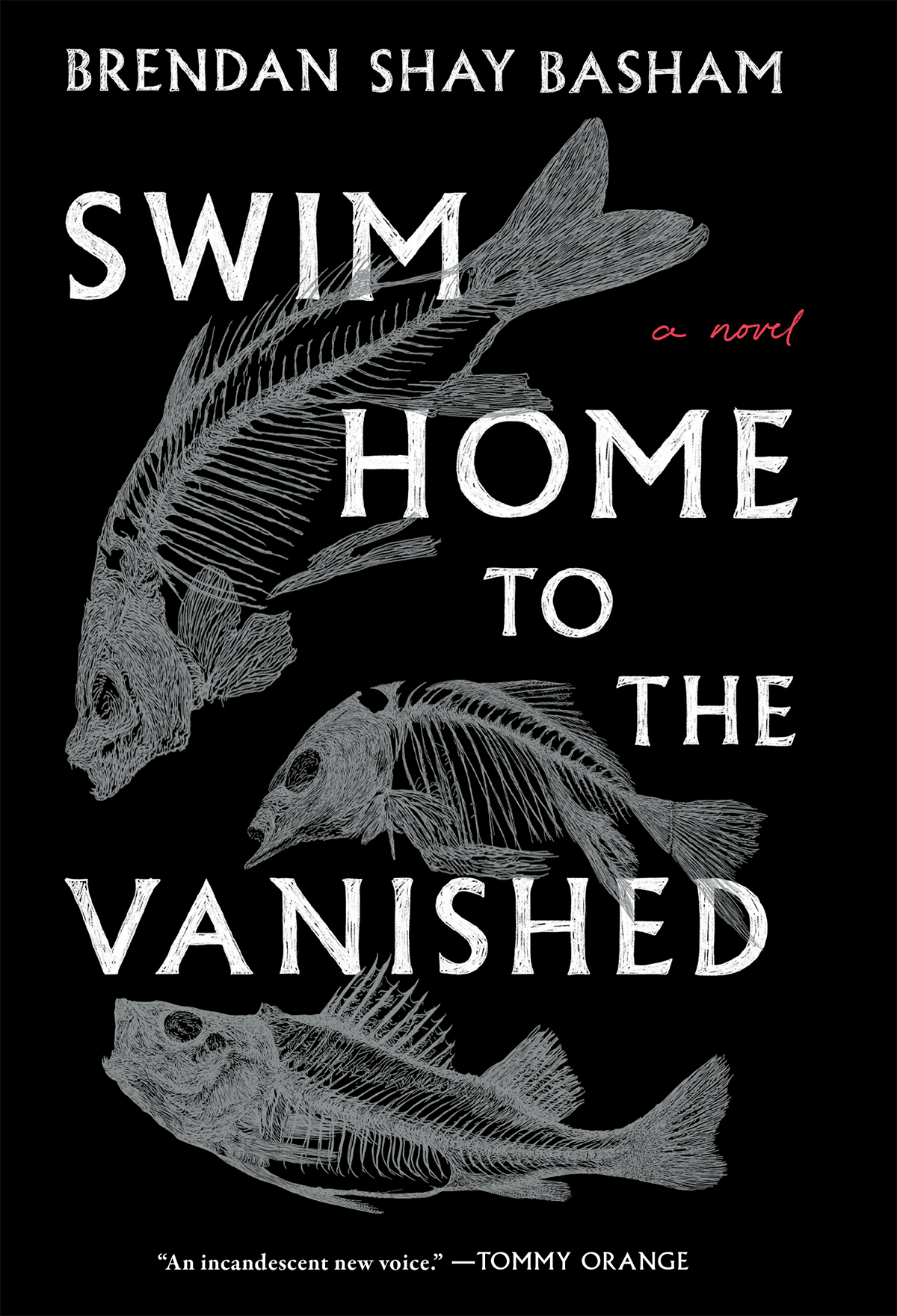 Swim Home To The Vanished Brendan Shay Basham