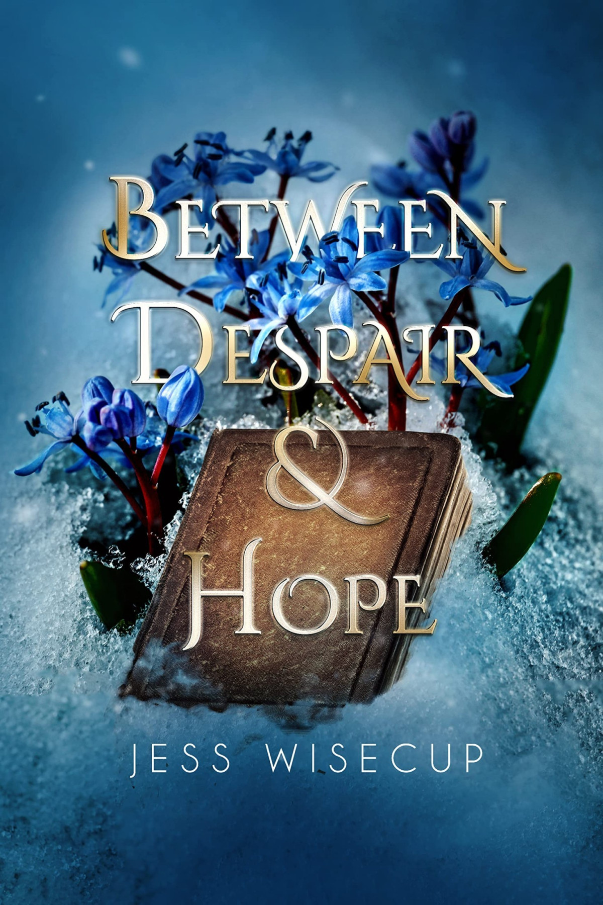 Between Despair And Hope Jess Wisecup