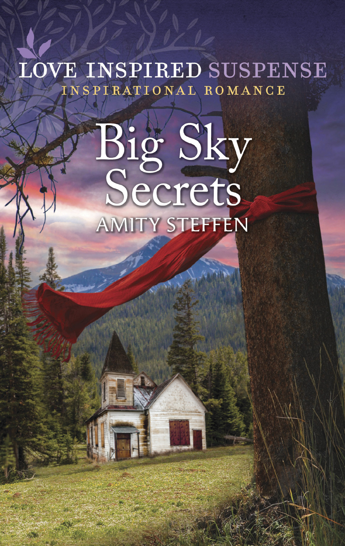 Big Sky Secrets Amity Steffen