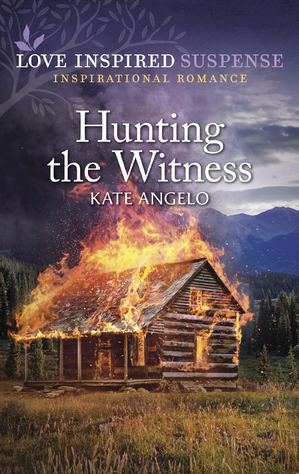 Hunting The Witness Kate Angelo