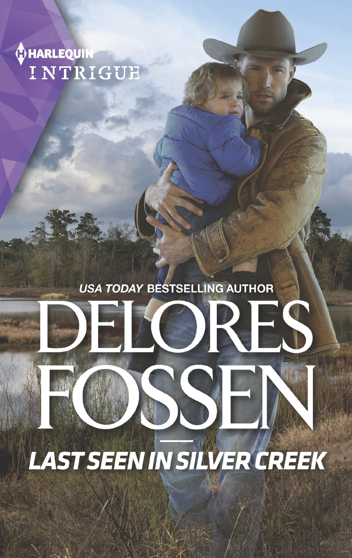 Last Seen In Silver Creek Delores Fossen