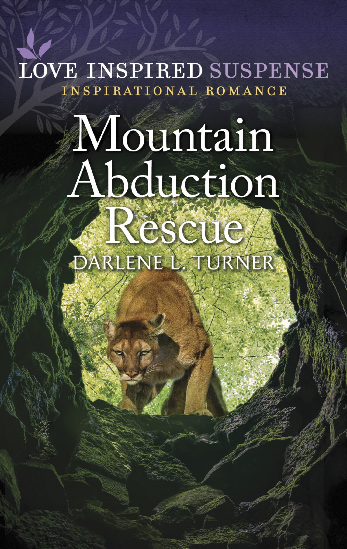 Mountain Abduction Rescue Darlene L Turner
