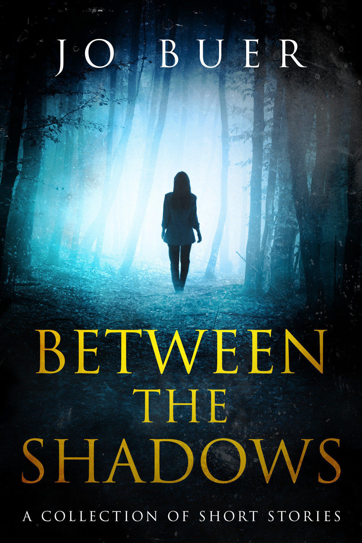 Between The Shadows 1st Edition Jo Buer
