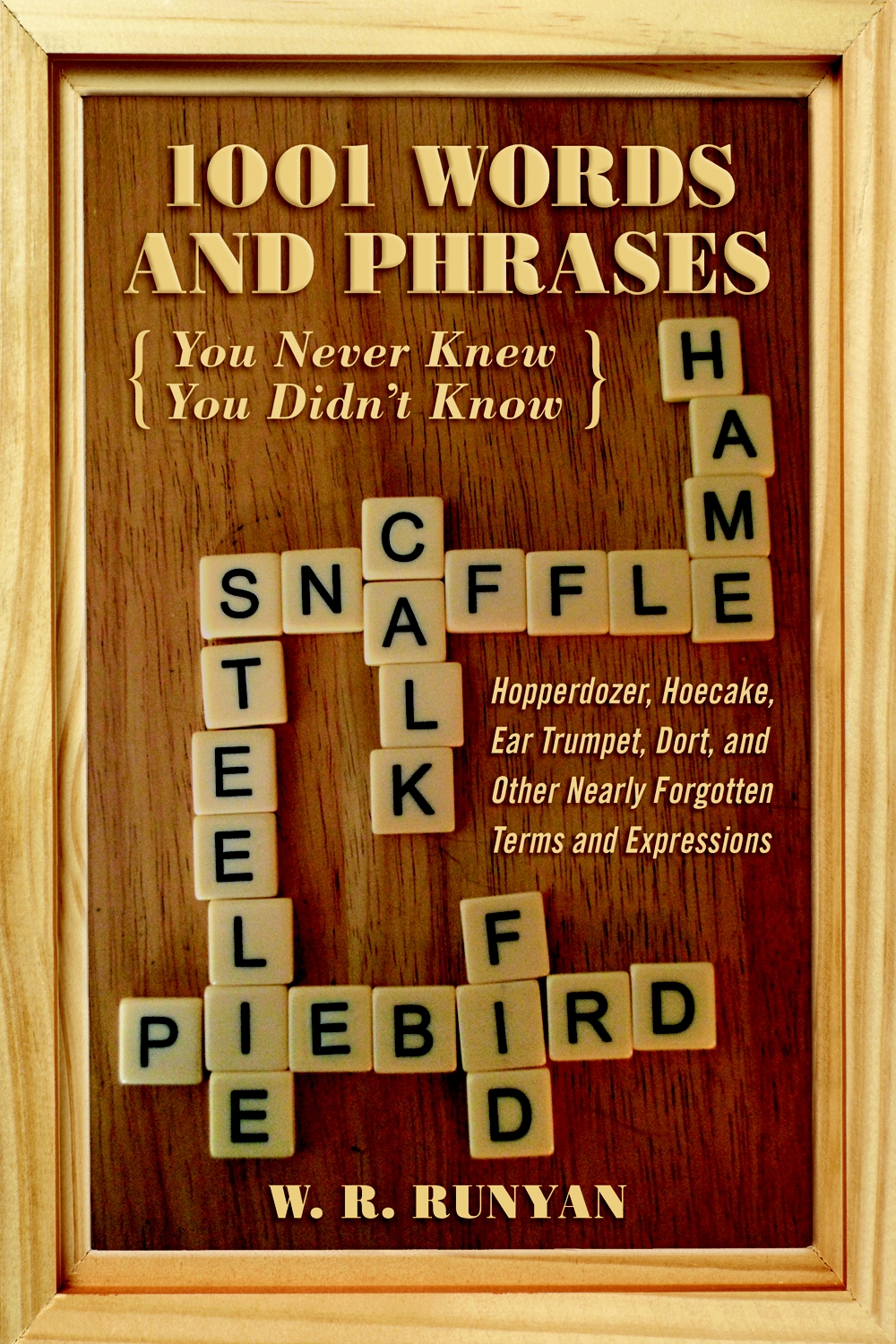 1001 Words And Phrases You Never Knew You Didnt Know 1st Edition W R Runyan